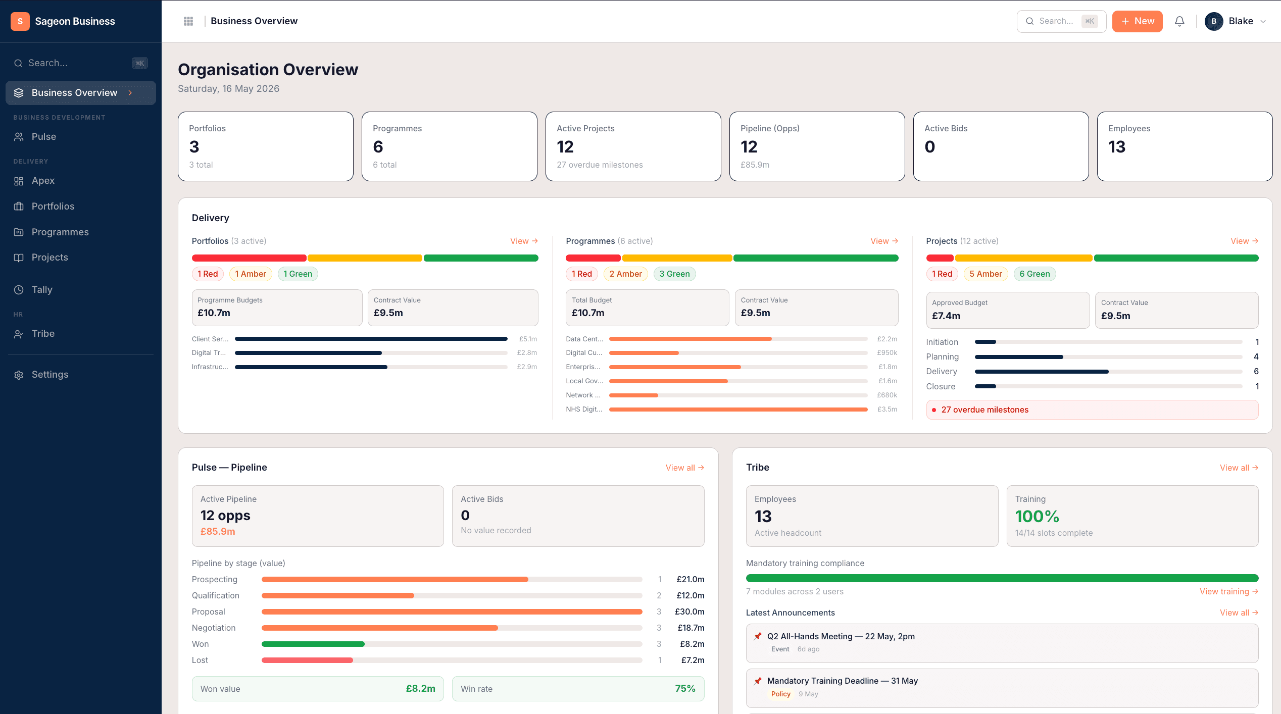Sageon Business - Organisation overview with portfolios, programmes, projects and pipeline